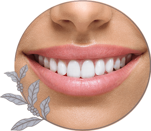 close up of beautiful smile makeover smile