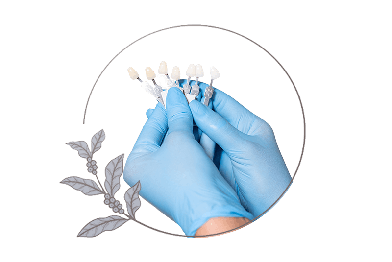 close up of dental veneers being held up for viewing